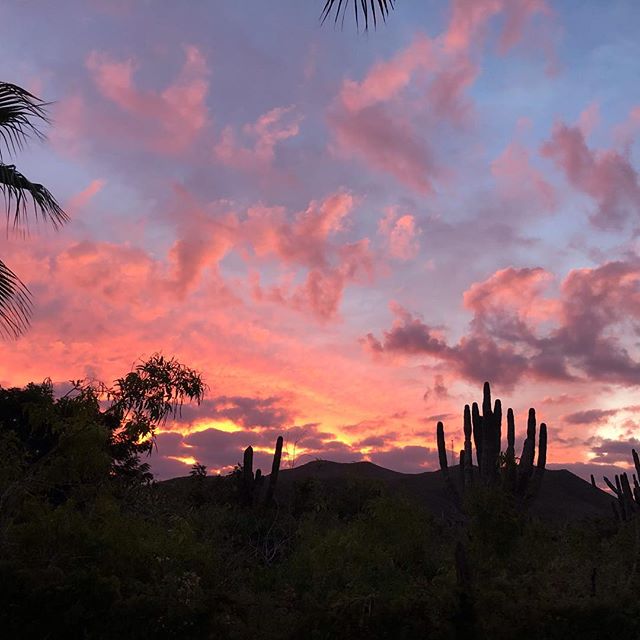 47694801_357903531455128_3498505035315754068_n